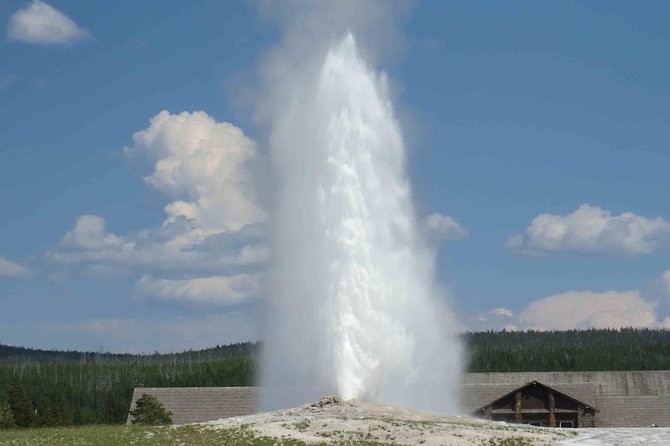 Yellowstone National Park - Full-Day Lower Loop Tour from Jackson - One long day from Jackson to Yellowstone