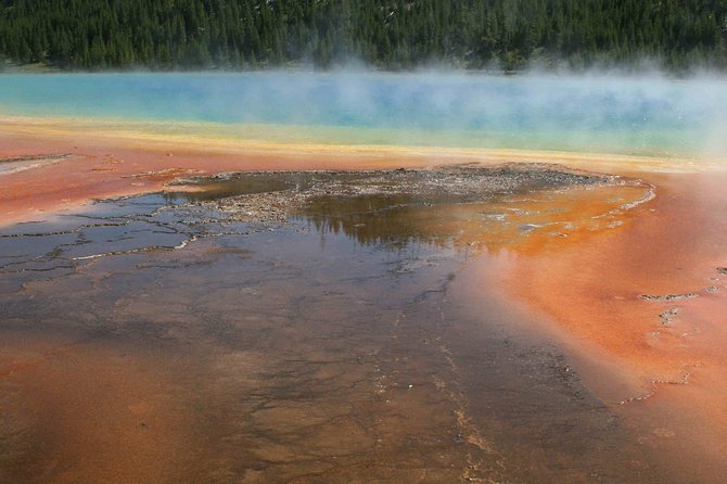 Yellowstone National Park - Full-Day Lower Loop Tour from Jackson - Wildlife watching in Hayden Valley