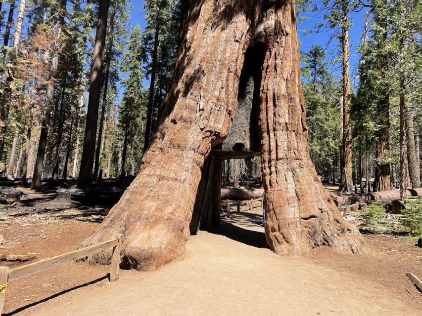 Yosemite, Giant Sequoias, Private Tour from San Francisco - Is $1,200 a fair price?