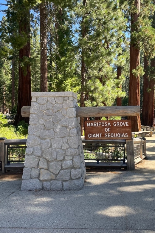 Yosemite, Giant Sequoias, Private Tour from San Francisco - A big Yosemite day from San Francisco