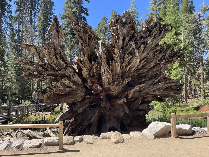 Yosemite, Giant Sequoias, Private Tour from San Francisco - Half Dome, The Ahwahnee, and Yosemite Village