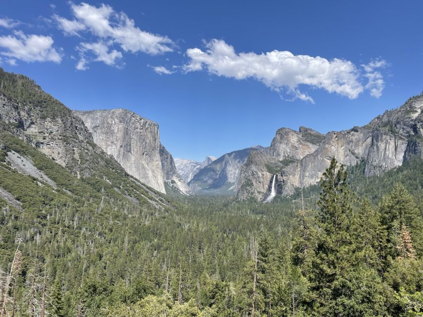 Yosemite, Giant Sequoias, Private Tour from San Francisco - What a private guide adds