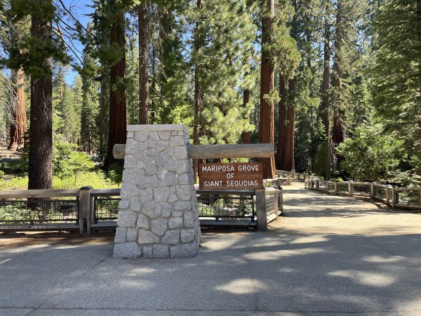 Yosemite, Giant Sequoias, Private Tour from San Francisco - Giant sequoias and the first walking choice