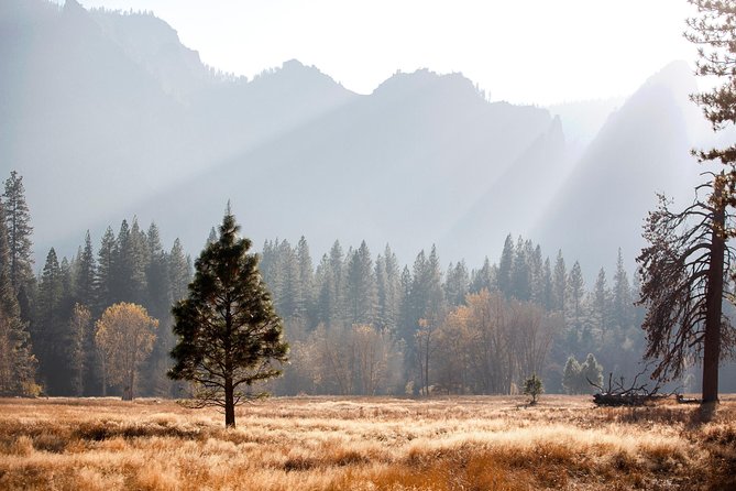 Yosemite Highlights & Giant Sequoias Day Tour from San Francisco - The pre-dawn pickup and long ride east