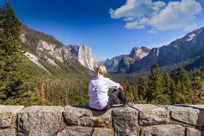 Yosemite Highlights & Giant Sequoias Day Tour from San Francisco - Bridalveil Fall and Sentinel Bridge