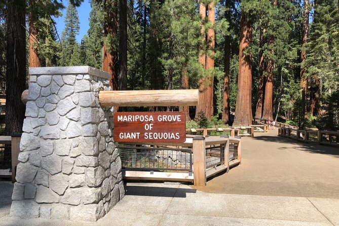 Yosemite Highlights Small Group Tour - Yosemite Valley: the main event