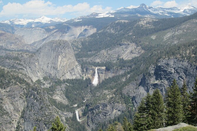 Yosemite Highlights Small Group Tour - Mariposa Grove and its giant sequoias
