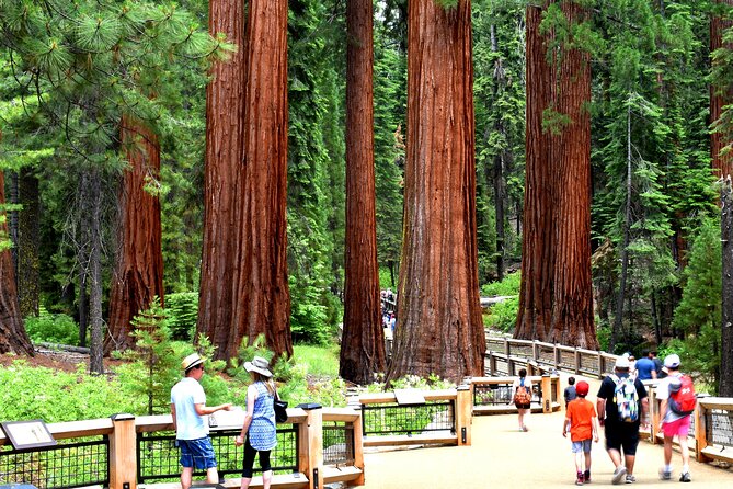 Yosemite Highlights Small Group Tour - The early pickup and ride into the park