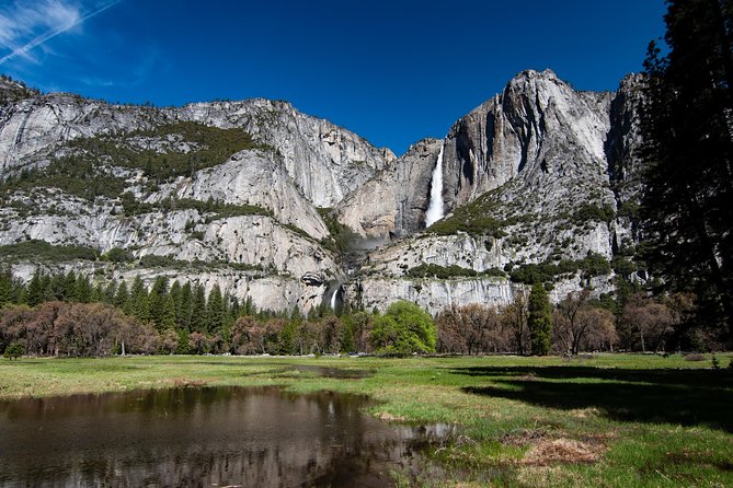 Yosemite National Park 2-Day Tour from San Francisco with Lodging - Day 2: choose a trail, ranger activity, or quiet morning