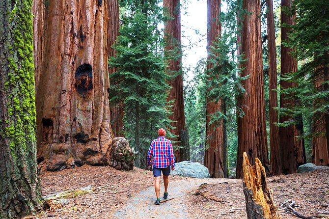 Yosemite National Park 2-Day Tour from San Francisco with Lodging - Glacier Point and the view from above