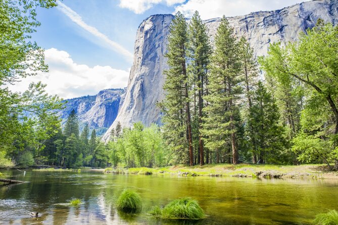Yosemite National Park Self Guided Driving Audio Tour Guide - Yosemite Falls and Mirror Lake Trail