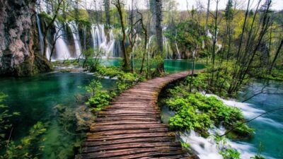 Plitvice Lakes Guided Day Tour with Tickets