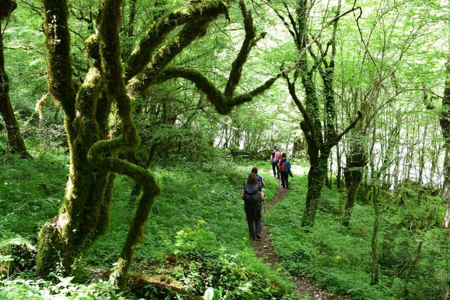 Zagori: Vikos Gorge full-day guided hike - From Monodendri to the river bed
