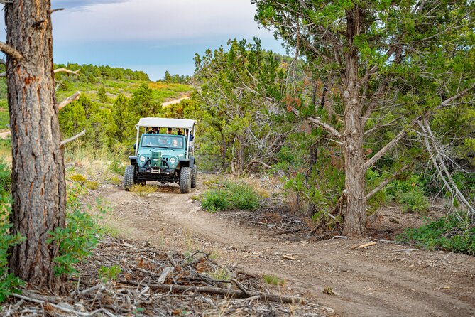 Zion Sunset Jeep Tour - What the 90-minute schedule really means